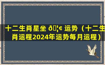 十二生肖星坐 🦢 运势（十二生肖运程2024年运势每月运程）